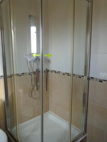 a shower with a glass door in a bathroom at Apartamento Victoria in Cirueña