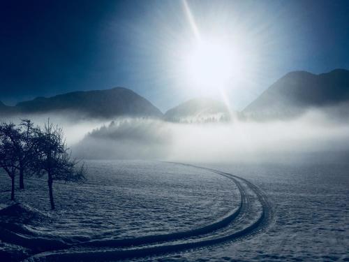 a misty field with the sun in the background at Haus Brandstaetter in Grundlsee