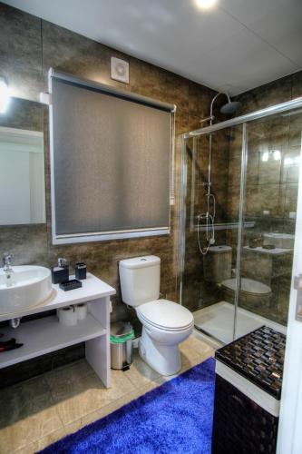 a bathroom with a toilet and a sink and a shower at Quinta de Silharezes, Lda in Ponte da Barca