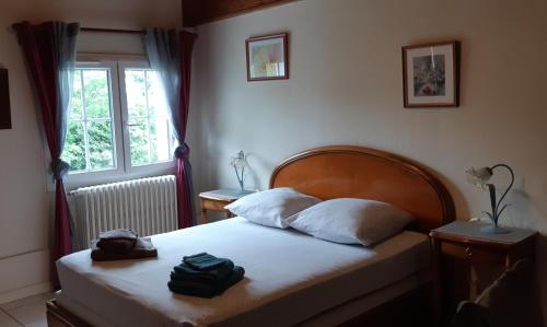 une chambre avec un lit et une fenêtre dans l'établissement L'Abri d'Emilie - Chambre d'hôtes, à Saint-Xandre