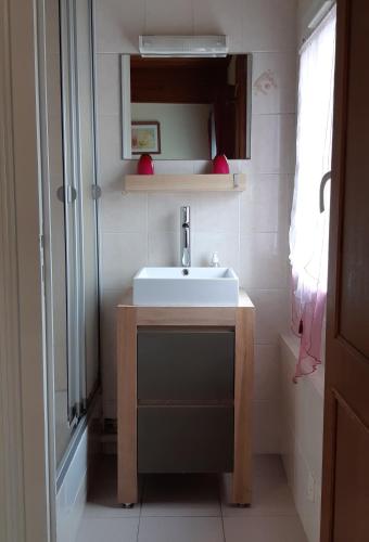 une petite salle de bain avec un lavabo et une douche dans l'établissement L'Abri d'Emilie - Chambre d'hôtes, à Saint-Xandre