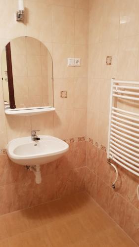 a bathroom with a sink and a mirror at Főczény Pince és Vendégház in Verpelét