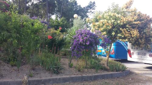 a blue camper parked in a parking lot with flowers at Hospedaria D. Fernando in Viseu