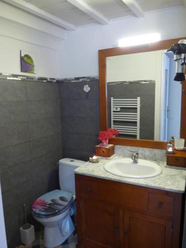 a bathroom with a sink and a toilet and a mirror at L'Ostalet in Prugnanes