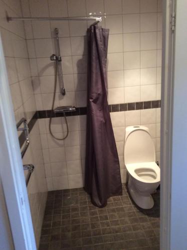 uma casa de banho com um WC e um chuveiro em Berghaga 415 em Ullared