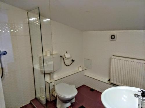 a bathroom with a toilet and a shower and a sink at Central Guesthouse in Bucharest