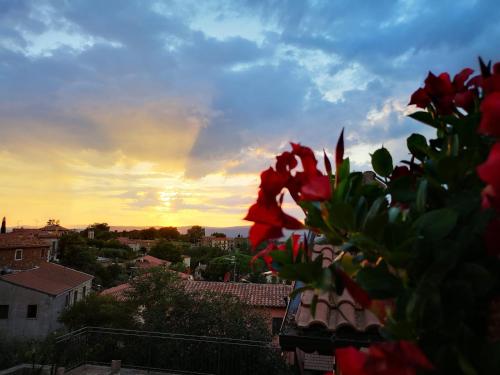 a red flower on a balcony with a sunset in the background at La Biocca in Poggio Murella