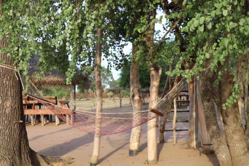 a hammock hanging between trees in a park at Yala Dream Park in Yala