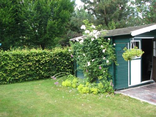 a green shed with a climbing plant on it at Urlaubsdomizil im Grünen in Westerstede