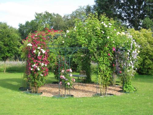 a garden with flowers and a bench in the grass at Urlaubsdomizil im Grünen in Westerstede