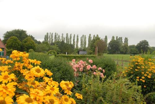 a garden filled with lots of yellow and pink flowers at Urlaubsdomizil im Grünen in Westerstede