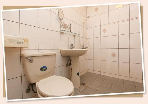 瑞穂郷にあるSignal B&B 信號咖ㄟ厝 民宿のバスルーム(トイレ、洗面台付)