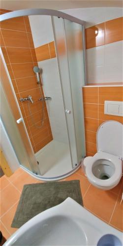 a bathroom with a shower and a toilet with a mirror at Penzion U Médi in Český Krumlov