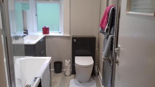 a small bathroom with a toilet and a sink at Highfield Cottage in Kirknewton