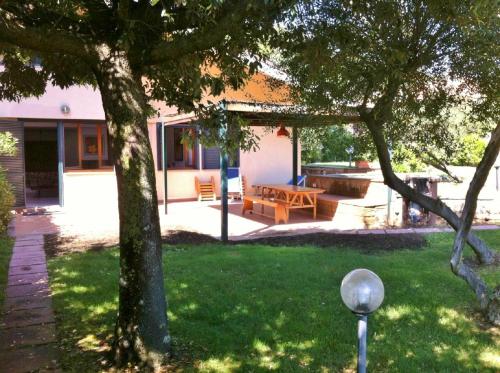 a backyard with a wooden bench and a table at Direttamente sulla spiaggia in Castiglione della Pescaia