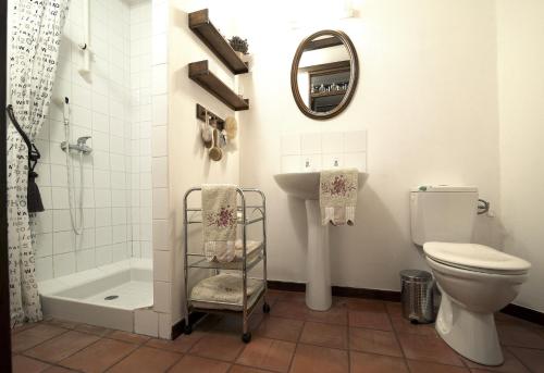 une salle de bain avec un lavabo, des toilettes et un miroir dans l'établissement Logis Rozies Dunes 2 p, à Dunes