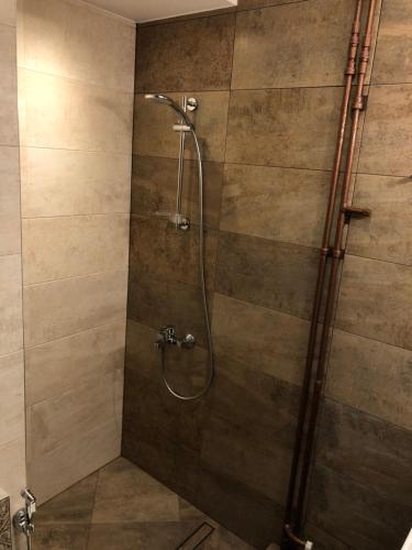 eine Dusche mit Glastür im Badezimmer in der Unterkunft Golden Dome view Apartment in Sofia