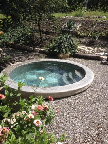 a small swimming pool in the middle of a garden at Eco House Sabero in Akhmety