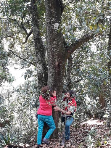 two people standing next to a tree in the woods at Jacamaki Nature GuestHouse en Villa de Leyva in Villa de Leyva