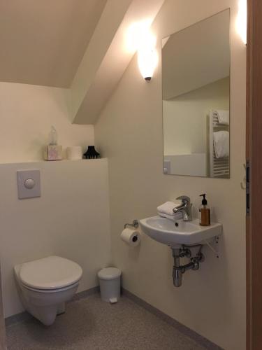 a bathroom with a toilet and a sink and a mirror at Öndólfsstaðir Farm B&B in Laugar