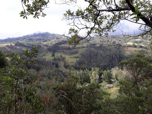 a view of auliculiculiculiculiculiculiculiculiculiculiculic at Jacamaki Nature GuestHouse en Villa de Leyva in Villa de Leyva