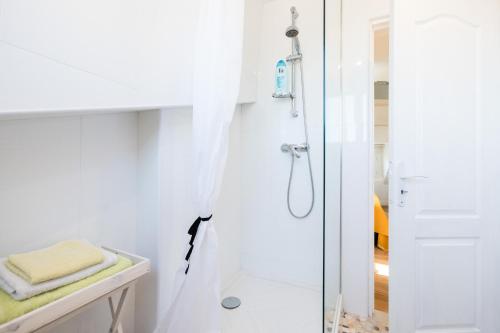 a white bathroom with a shower with a glass door at Petit studio Saint-Front- Small studio flat Saint-Front in Périgueux