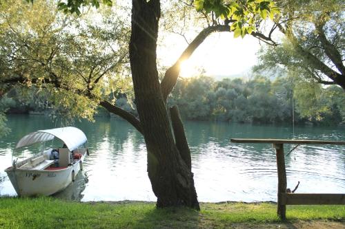 a boat sitting on the water next to a tree at Vida`s house in Virpazar