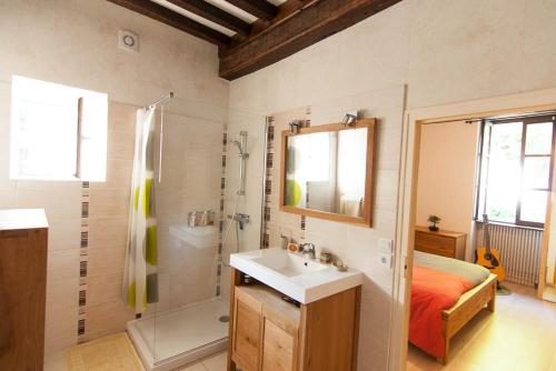 ein Bad mit einem Waschbecken und einer Dusche in der Unterkunft La Malinette bio B&B, calme et authenticité in Mâlain