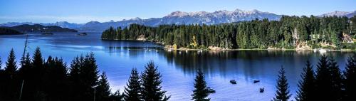 a large lake with trees and ducks in the water at Marinas Alto Manzano in Villa La Angostura