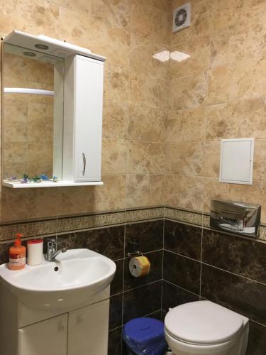 ein Badezimmer mit einem WC, einem Waschbecken und einem Spiegel in der Unterkunft олан in Truskawez