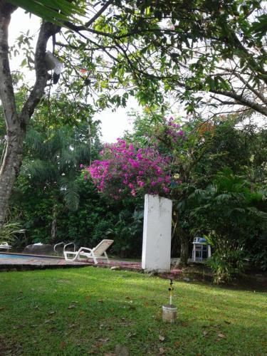 a park with a bench and a tree with pink flowers at Selvablanca Hostel in San Jerónimo
