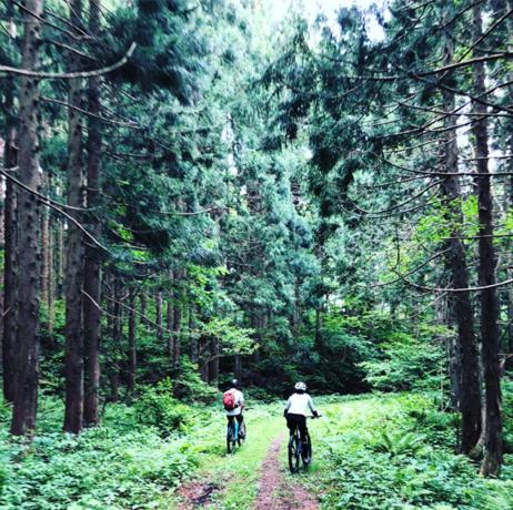 two people riding bikes down a forest trail at The Guest House Japan Hakuba in Hakuba