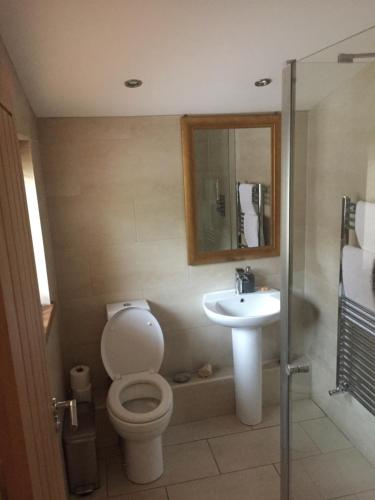 a bathroom with a toilet and a sink at The Old Vicarage Lodge in Manchester