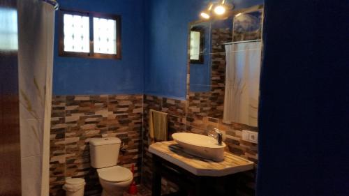 łazienka z umywalką, toaletą i lustrem w obiekcie Vivienda Rural Maestro Herrador w mieście Ubrique