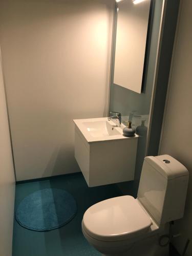 uma casa de banho com um WC branco e um lavatório. em Beautiful apartment in central Leknes em Leknes