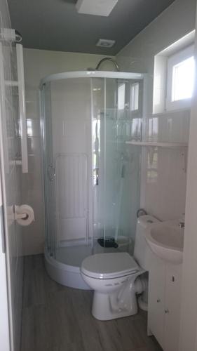 a bathroom with a shower and a toilet and a sink at SEA & LAKE in Jarosławiec