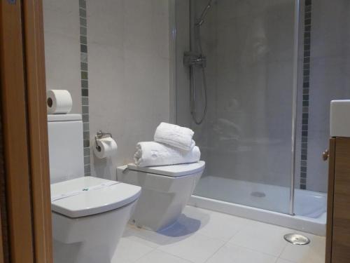 ビリャホヨサにあるApartamento Don Pablo by DLVのバスルーム(トイレ、シャワー付)
