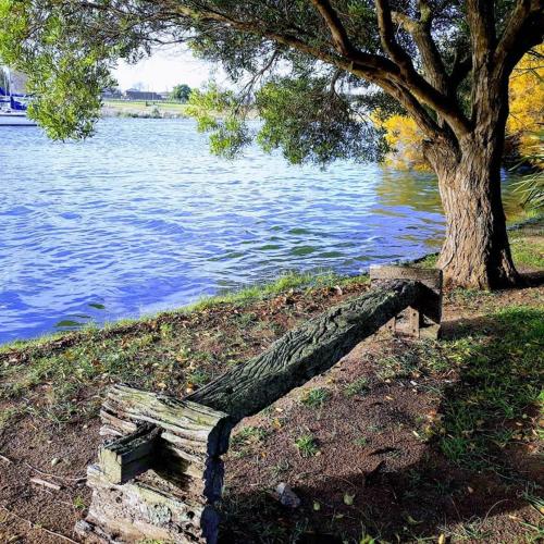 Φωτογραφία από το άλμπουμ του Cabañas Río Quequén σε Necochea