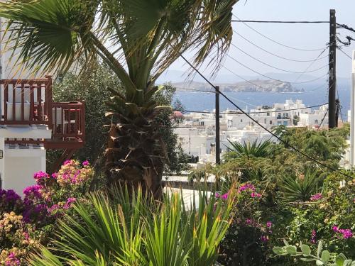 Фотография из галереи Studios & Suites Rania в Миконосе