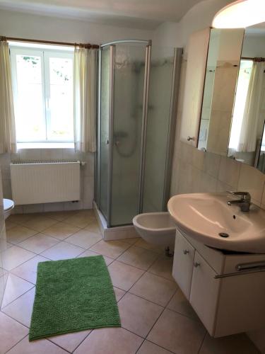 a bathroom with a shower and a sink and a mirror at Ferienwohnung Schulten Hof in Schmallenberg