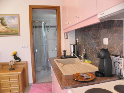 a kitchen with a sink and a shower at Irida Beach Resort Suites in Kyparissia