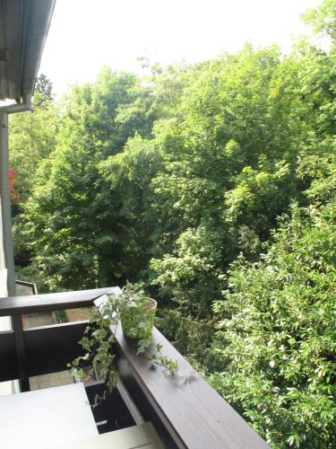 a bench on a porch with a view of trees at Love nest munster in Munster