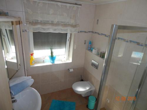 a bathroom with a shower and a toilet and a window at Ferienwohnung Wagner mit Terrasse und Kinderspielplatz in Küps