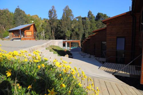 Fotografie z fotogalerie ubytování Cabañas y Spa Costa Patagonia - Piscina Climatizada v destinaci Pichilemu