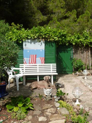 Jardín al aire libre en Appartement jardin Cap d'Agde