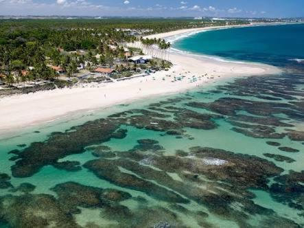 Afbeelding uit fotogalerij van Palm Village - O Melhor de Cupe e Porto in Porto De Galinhas