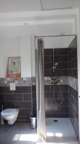 a bathroom with a shower with a toilet and a sink at La maison de l'écluse in Trèbes