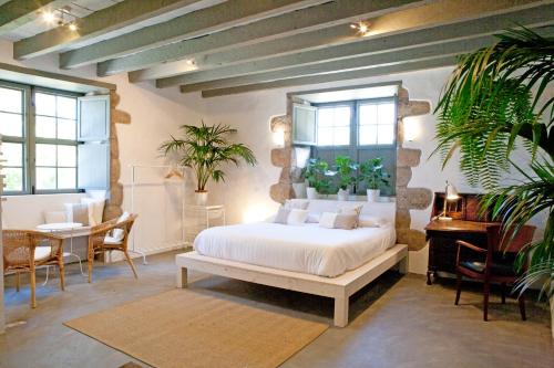 1 dormitorio con 1 cama, mesa y sillas en Hacienda El Cardon, en San Juan de la Rambla