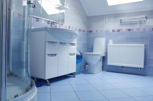 ウラジカフカスにあるGuesthouse U Dorogiの青いバスルーム(洗面台、トイレ付)