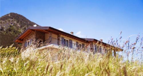 a house on top of a hill with tall grass at Mos Country House in Tremosine Sul Garda